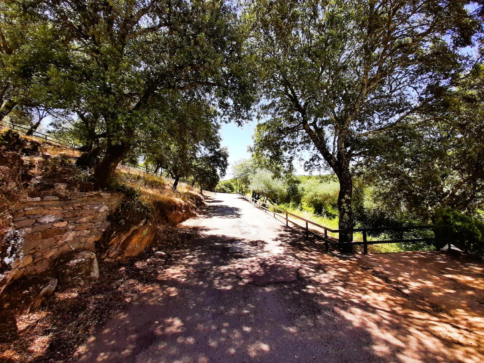 Casa Rural Gurumelo Aracena Exteriör bild